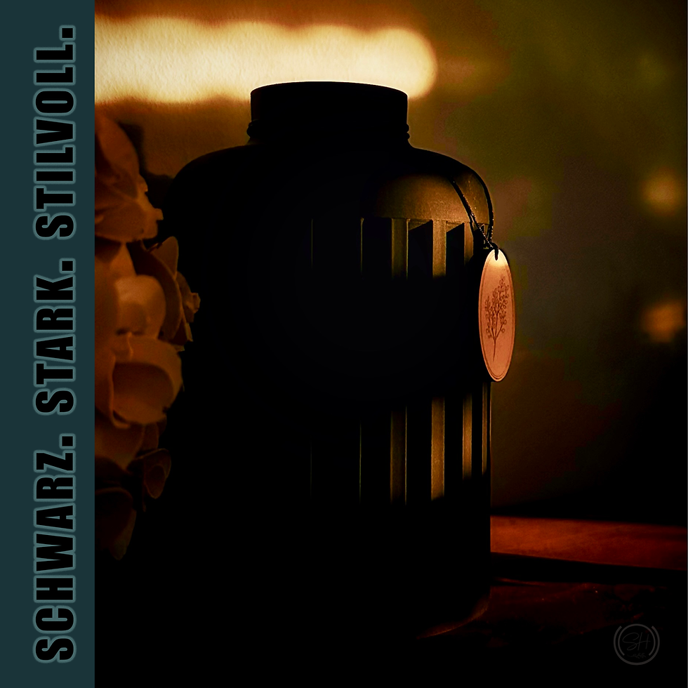 Miniaturbild: Stilvolle Wohndekoration, schwarze Vase elegant und stimmungsvoll in Szene gesetzt