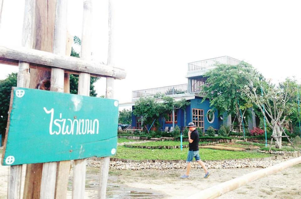 บ้านดิน สีคราม indigo clay house