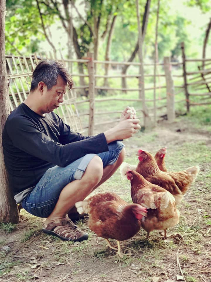 free-range chicken