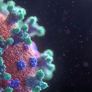 El VIH y el COVID-19