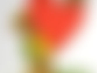 5th & 6th grade Earth Science