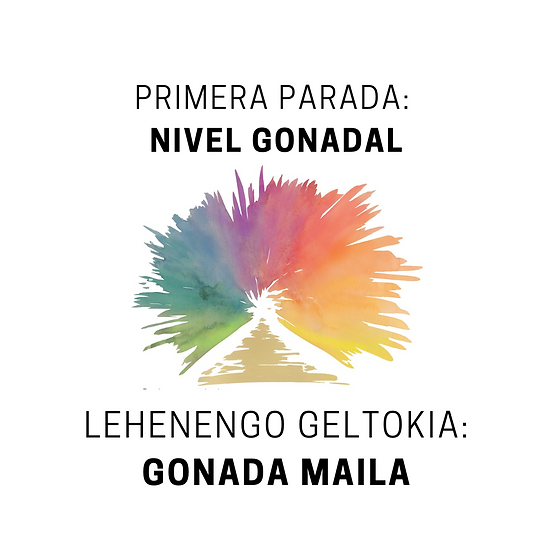 PORTADAS WEB (2).png