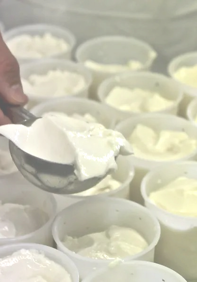 atelier faisselle_edited_edited.png