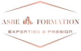 organisme de formation ASBE FORMATIONS partenaire de DRM ENTREPRISE