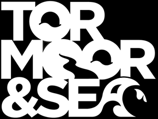 W tran Letter.png