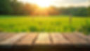 AdobeStock_1963657296.jpeg