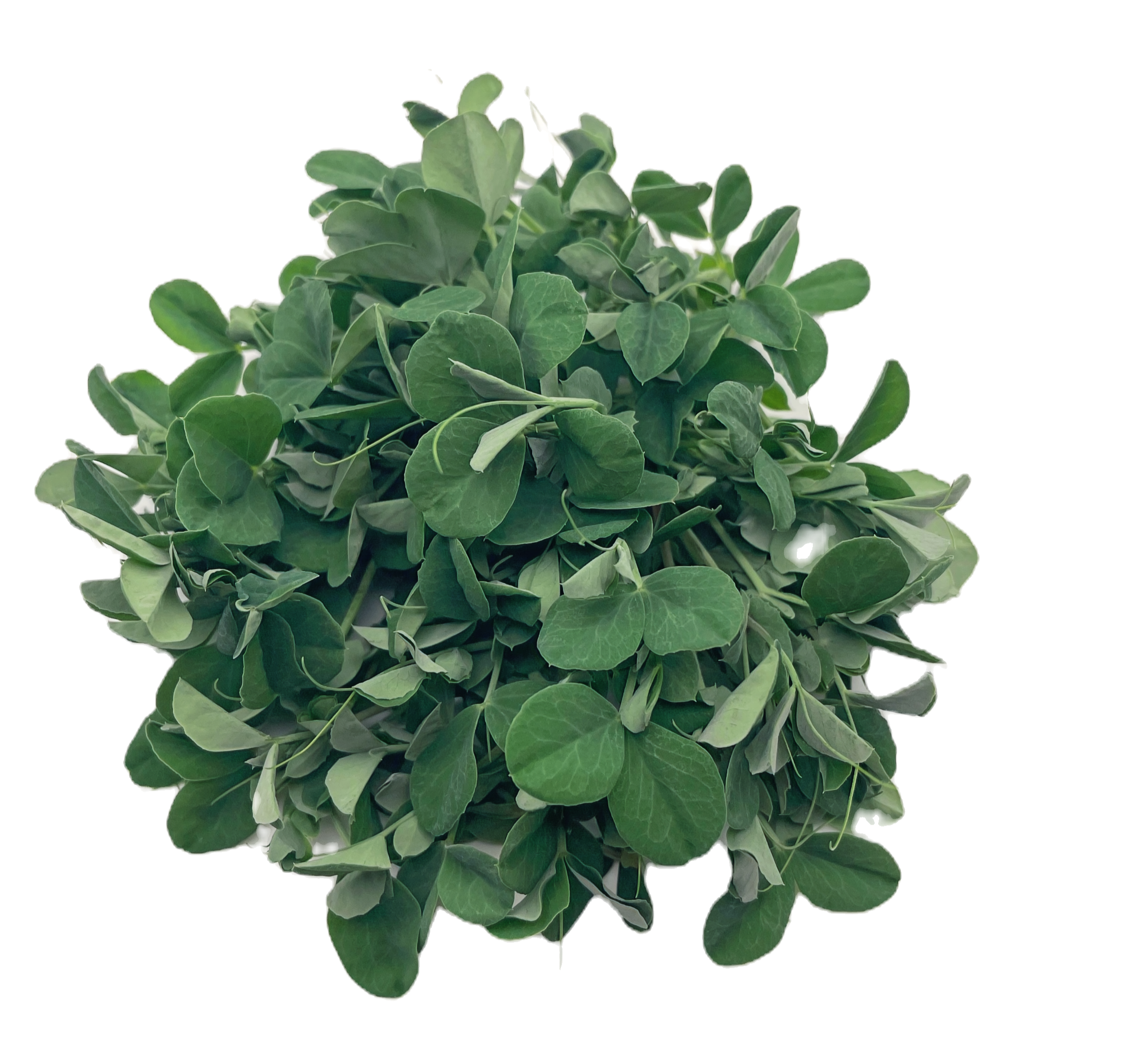 Fresh pea tendrils by Grumpy Goat Farms