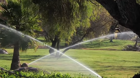 Irrigation setup and maintenance tips