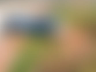 7 Common Irrigation Mistakes