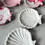 Thumbnail: White Scallop Shell
