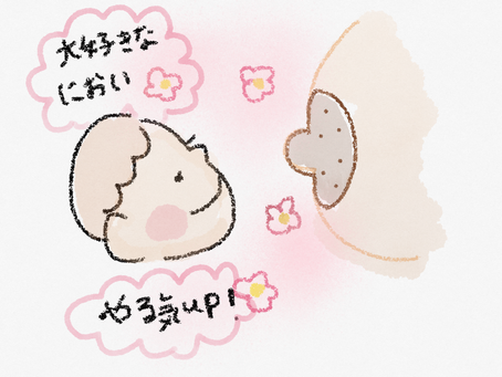 授乳前におっぱいを拭く?