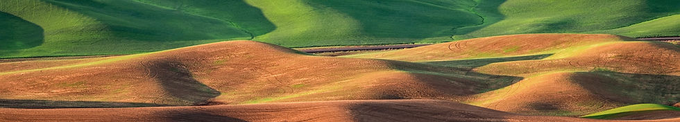 Palouse_Steptoe_Butte_Sunrise-1566-Green-OrangeSTRIP.jpg