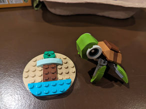 Jahresauftakt mit Lego-Schildkröten