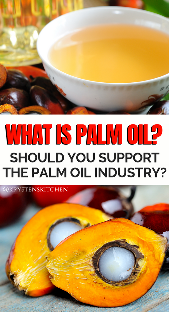 What is Palm Oil & Should You Support The Palm Oil Industry?