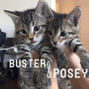 Happy 1st Birthday Buster & Posey