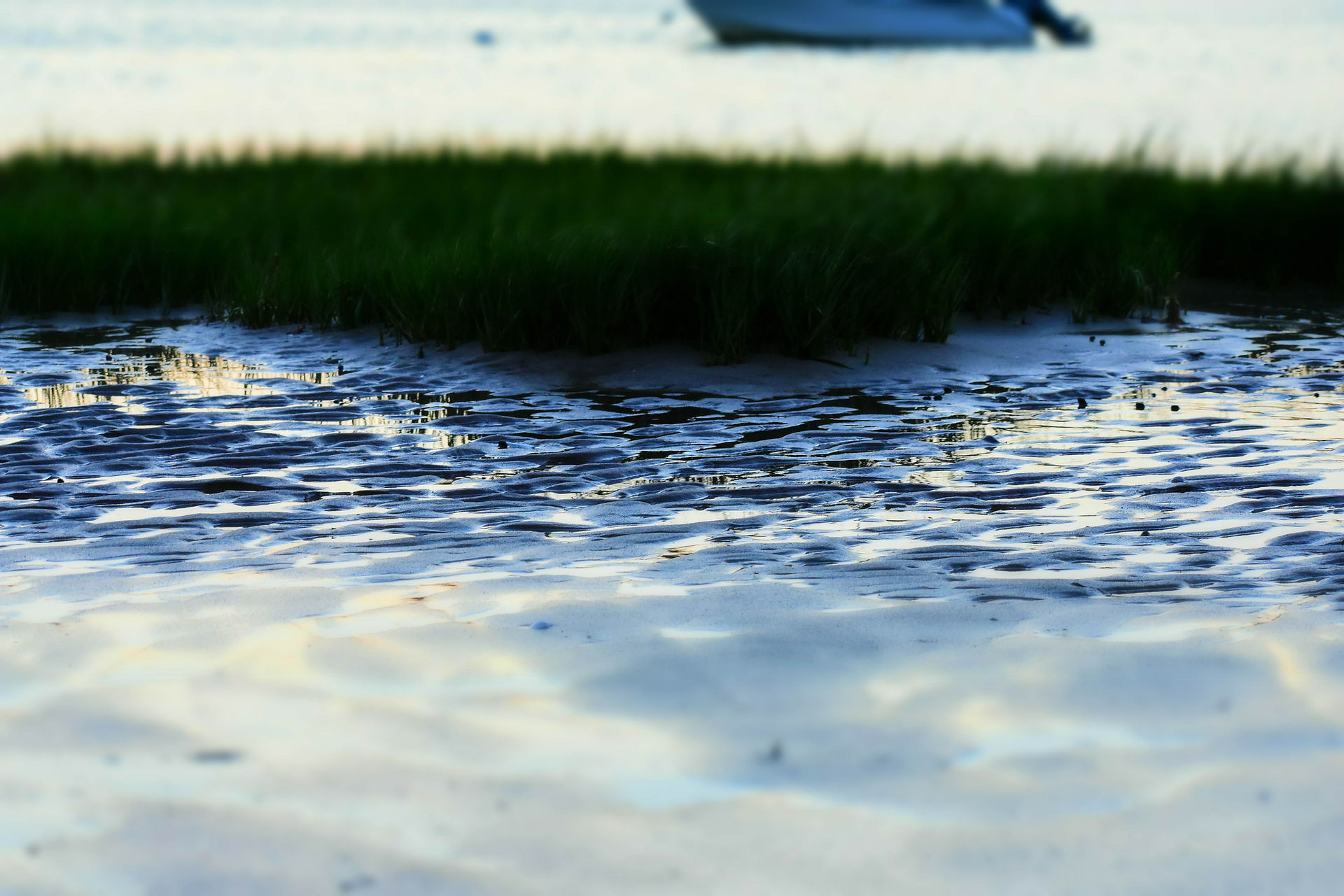 DSC_0019