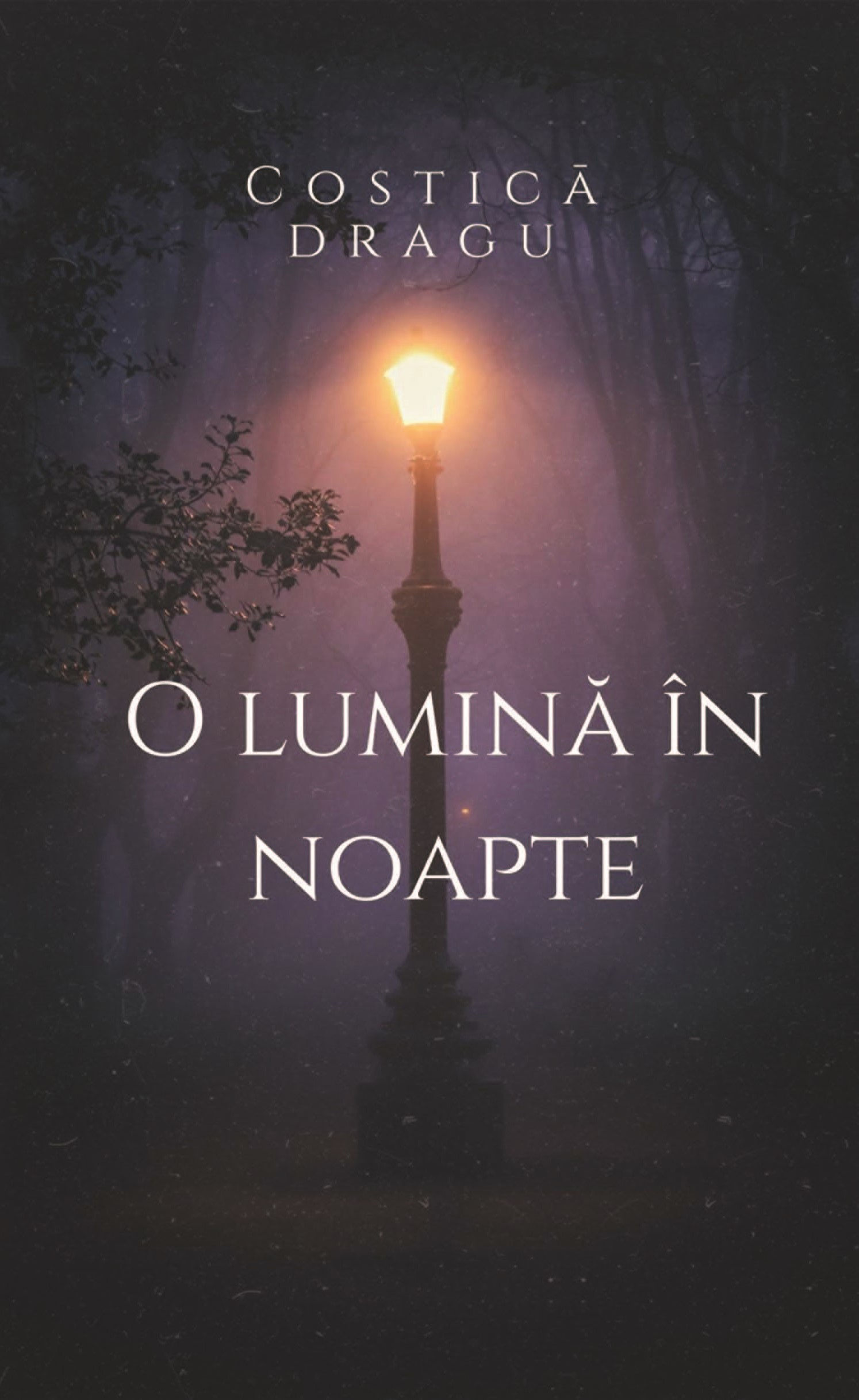 O lumină în noapte