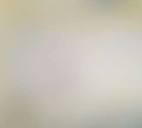 フォスタリング機関人材養成プログラム(職員研修)に参加してきました in東京