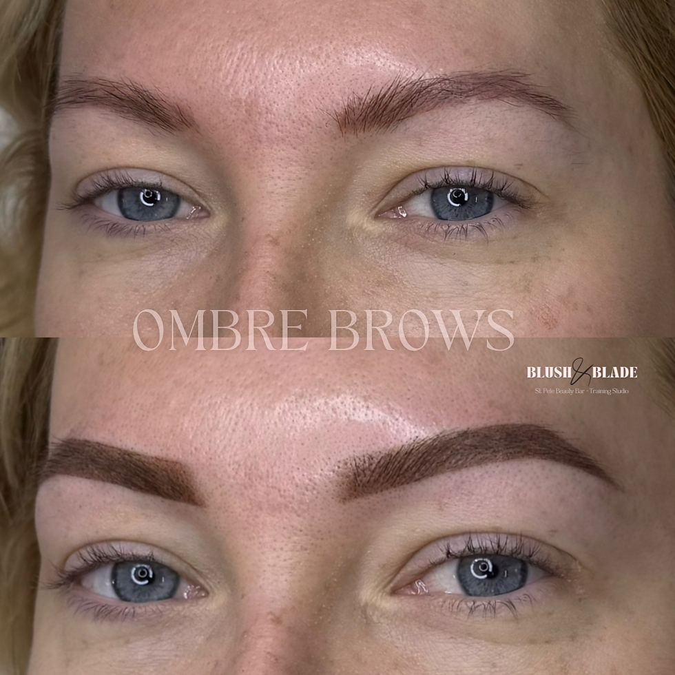OMBRE BROWS