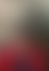 Headteacher's Fortnightly Vlog (19.12.25)