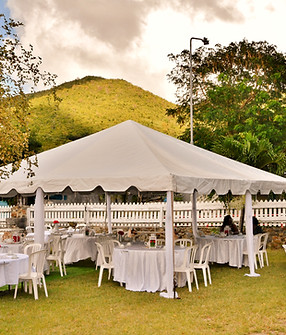 DSC_9381_edited.jpg