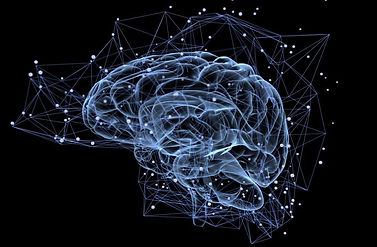 brain-1024x640.jpg