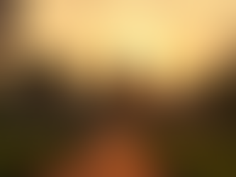 The Ultimate Siem Reap Travel Guide 2026: Angkor Wat, Hidden Gems, and Local Secrets