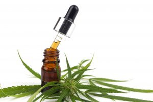 learn about cannabis concentrates with cannabition