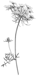 AdobeStock_282078817_21_edited.png