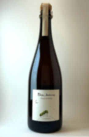 Elise Dechannes Essentielle Champagne