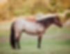 122135451_10164469284950602_4041964652913374096_n-gigapixel-low_res-scale-4_00x.jpg