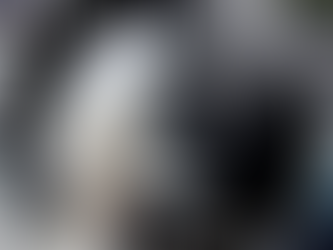 Obituary of Richard Wise Friday October 3rd, 1958-Wednesday November 13th, 2024