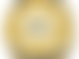 Newton County Sheriff's Report