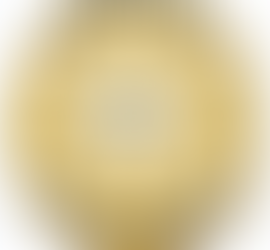 Newton County Sheriff's Report