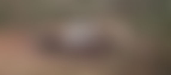 Stolen vehicle found charred in Newton County; Havard has persons of interest in the case