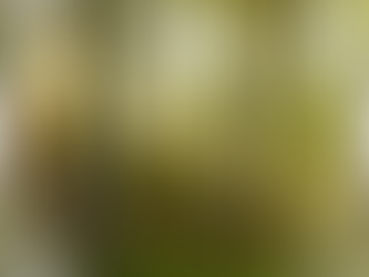 Obituary of Hobby D Jones Monday, November 6th, 1944 – Wednesday, December 4th, 2024