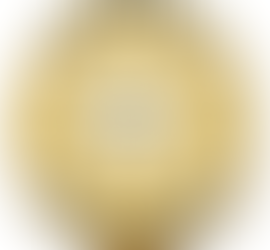 Newton County Sheriff's Report