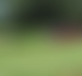 Minor truck fire South of Kirbyville Monday