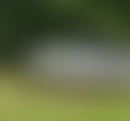 Driver with 7 passengers hydroplaned during heavy rain