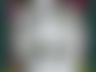 Obituary of Dorothy Helen Ozment February 26, 1928 - November 21, 2024