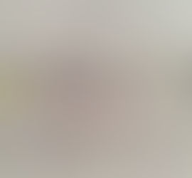 Newton History Center is searching for descendants