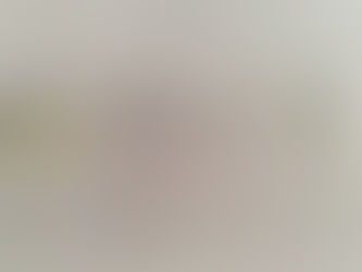 Newton History Center is searching for descendants