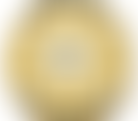 Newton County Sheriff's Report