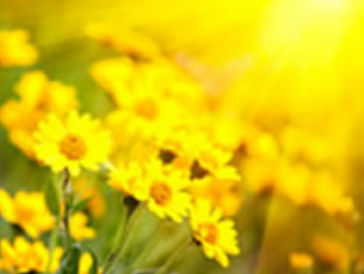 Obituary of Kathy Peters
October 8, 1958 - December 24, 2024