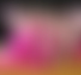 Miss Pink Out 2024 Winners