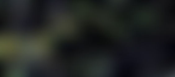 Severe Weather Outlook