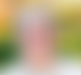 Obituary of Wanda Florence Grimes October 20, 1932 -October 12, 2024