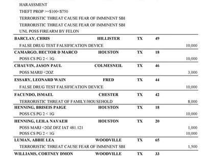 Tyler County Arrest Report