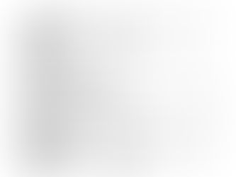 Tyler County Sheriff's Report