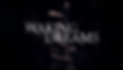 WAKING DREAMS EN ESPAÑOL PC